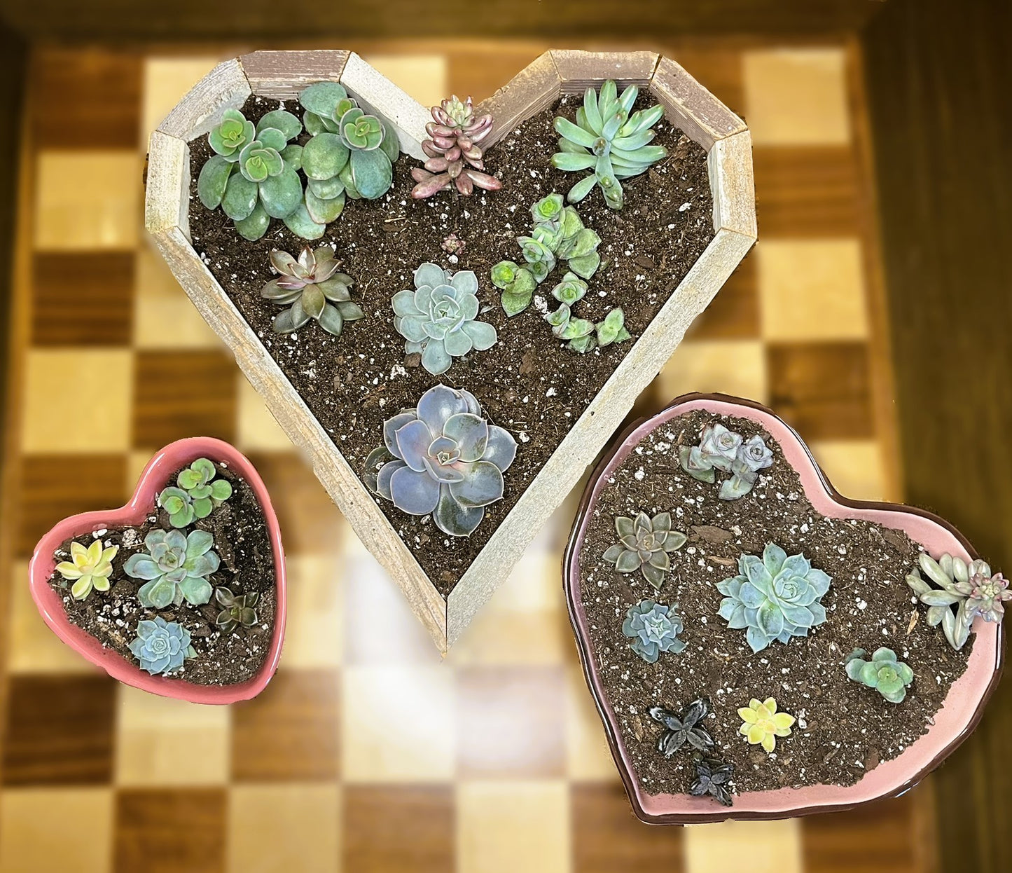 Heart Curated Gardens