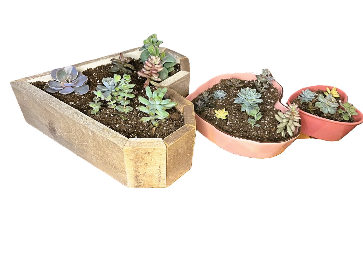 Heart Curated Gardens