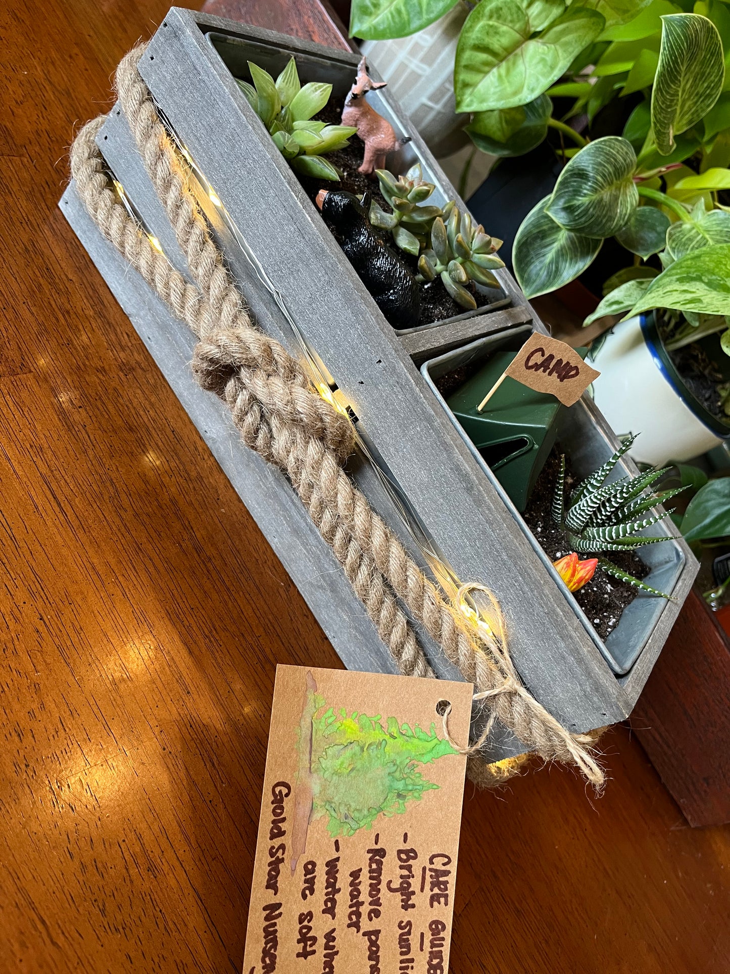 Custom Succulent Garden