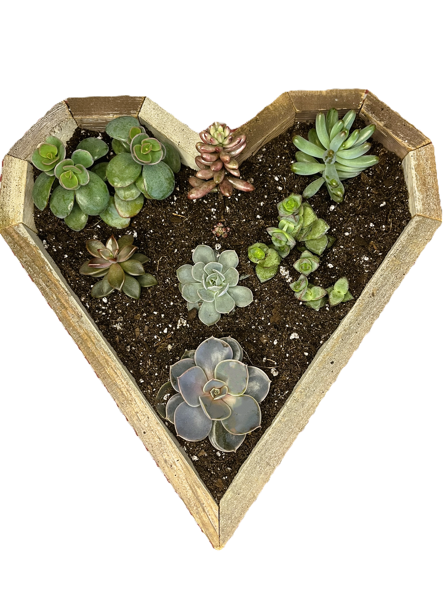 Heart Curated Gardens