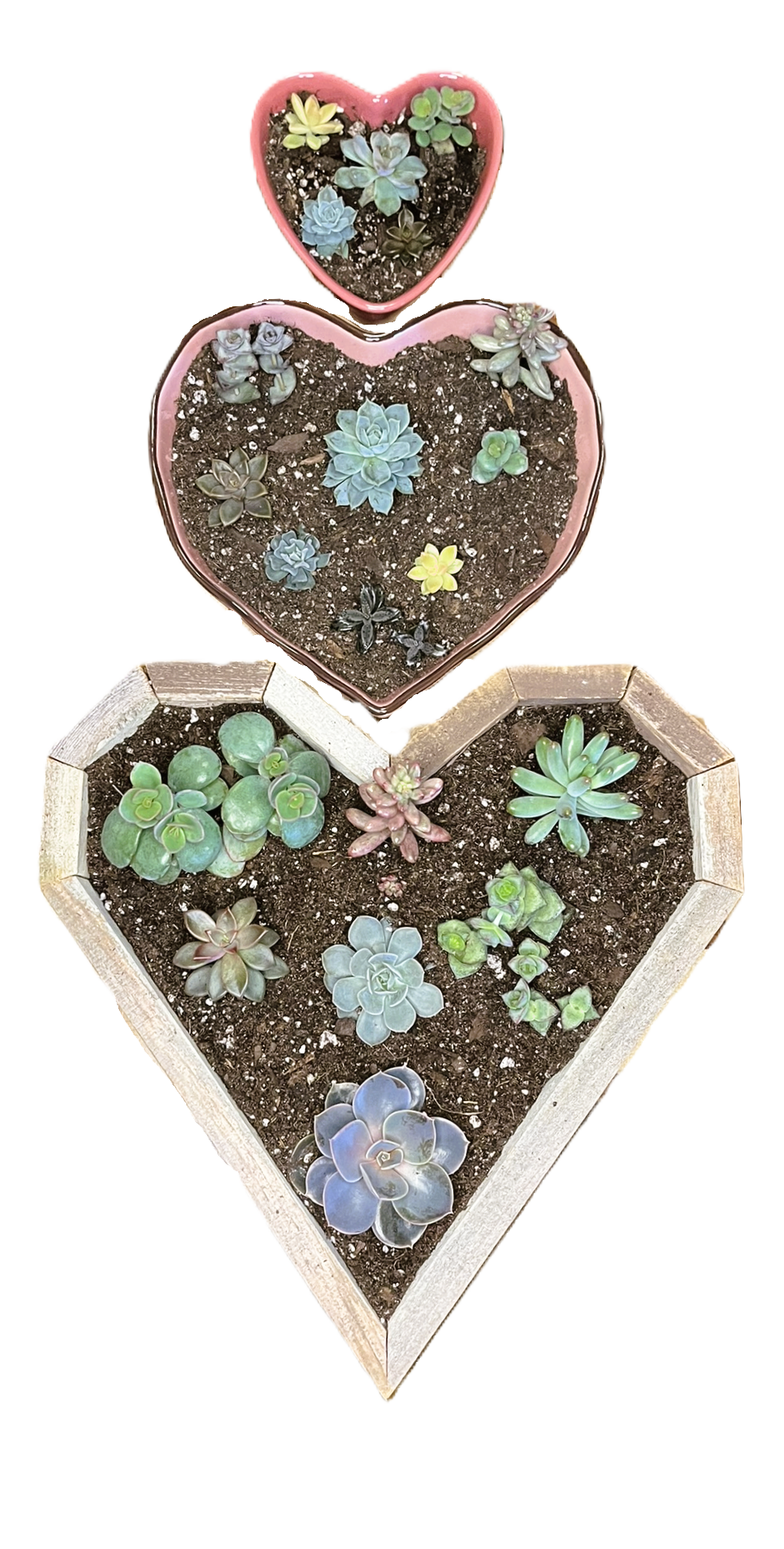 Heart Curated Gardens