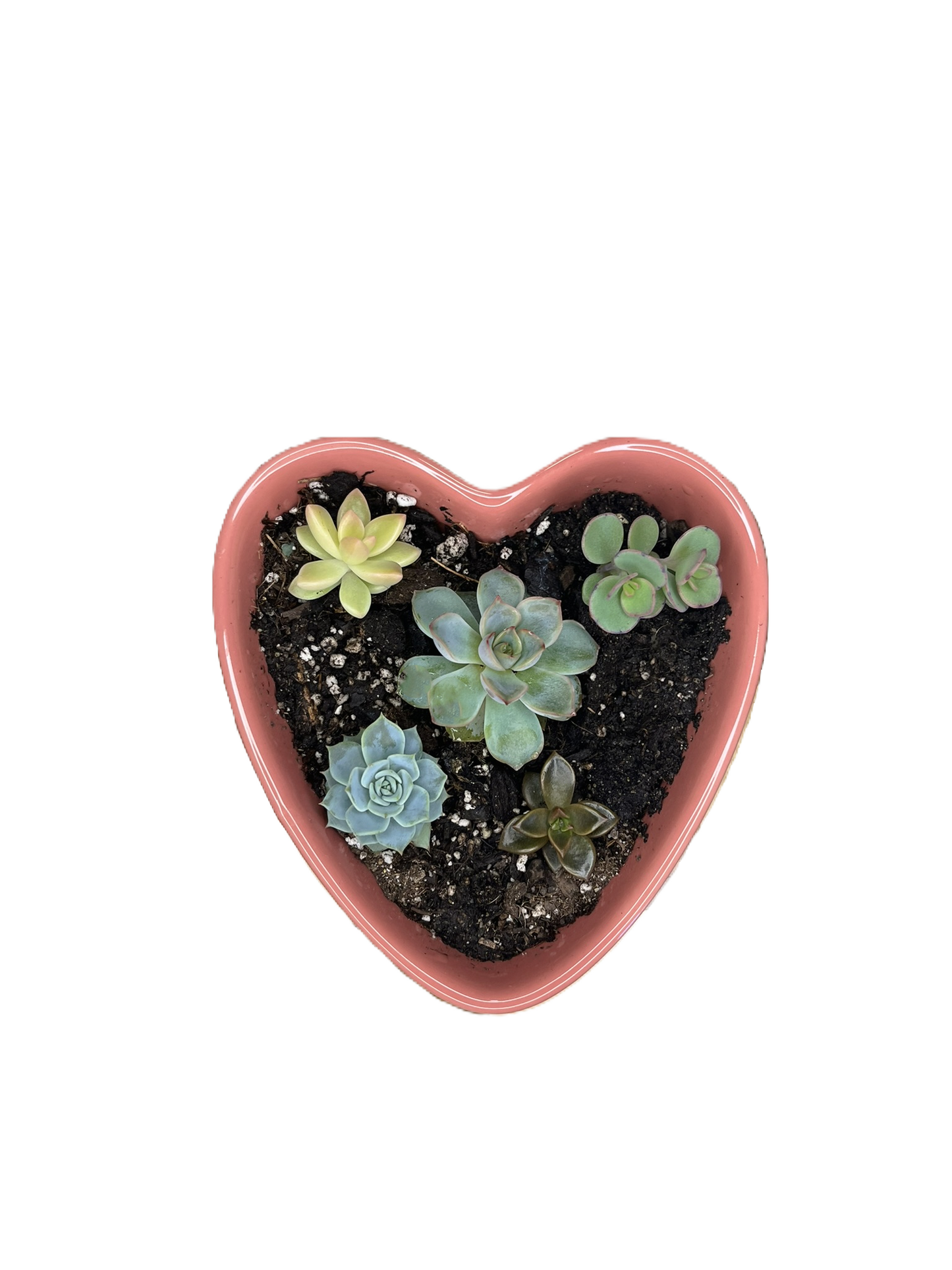 Heart Curated Gardens