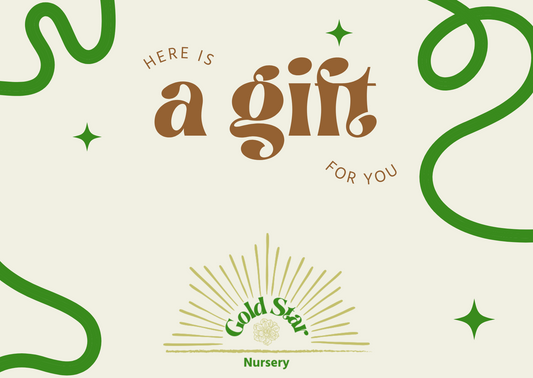 Gold Star Nursery Gift Card