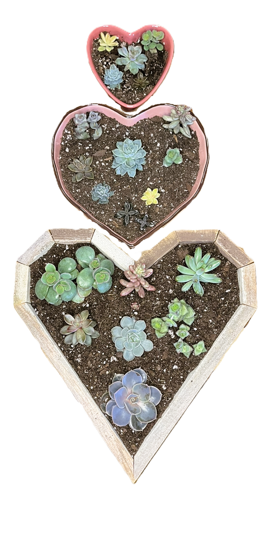 Heart Curated Gardens