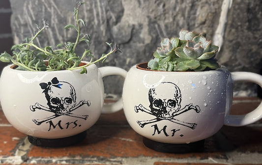 Mr. & Mrs. Skull Decorative Planters