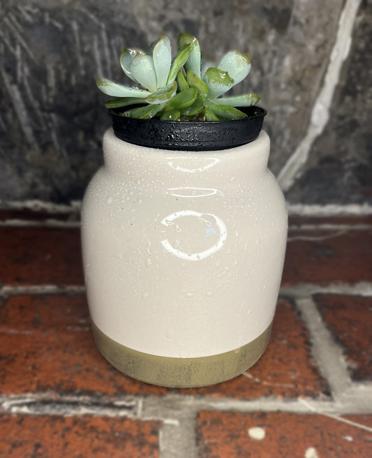 Cream and Green Decorative Planter