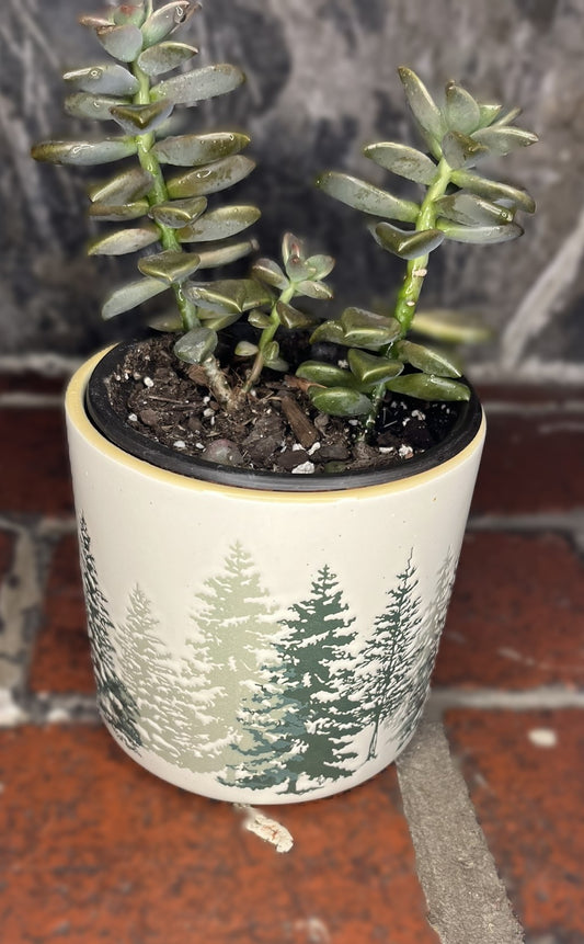 Evergreen Tree Decorative Planter